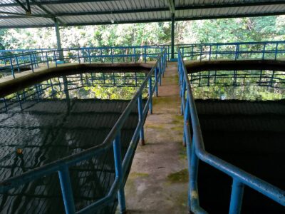 📢 INFO KONDISI INTAKE DAN IPA MADI (17 Desember 2025)